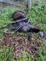 IMG_0985.jpeg