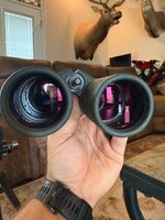 IMG_0223.jpeg