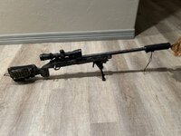 IMG_6027.jpeg