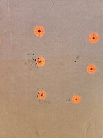 20250430_105946.jpg