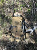 IMG_0172.jpeg
