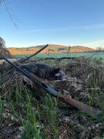 IMG_7283.jpeg