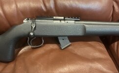 IMG_2961.jpeg