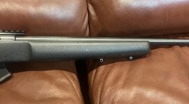 IMG_2962.jpeg