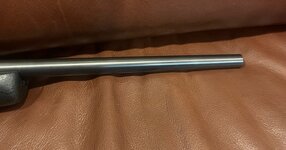 IMG_2963.jpeg