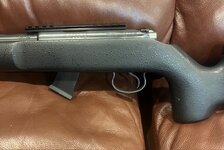 IMG_2966.jpeg