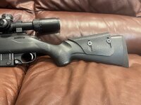 IMG_2974.jpeg