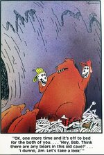 BearStory.jpg