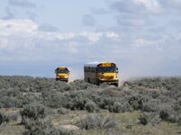 IMG_0536.jpeg