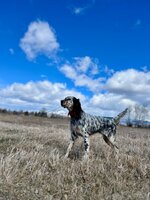 IMG_8527 2.jpg