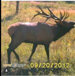 IMG_1205.jpeg