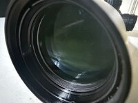 IMG_9158.jpeg