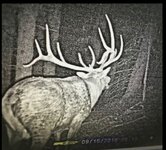 IMG_1217.jpeg