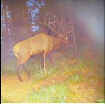 IMG_1214.jpeg