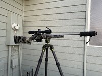 IMG_5170.jpeg