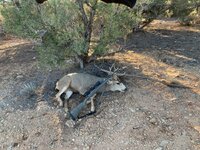 IMG_4960.jpeg