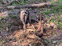 IMG_1963.jpeg