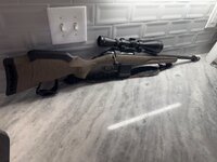IMG_3162.jpeg