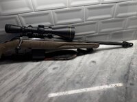 IMG_3161.jpeg
