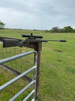 IMG_3091.jpeg