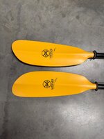 IMG_5389.jpeg