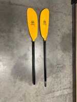 IMG_5390.jpeg