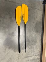 IMG_5391.jpeg