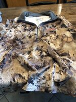 IMG_4385.jpeg