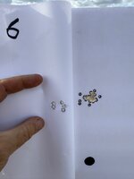IMG_0188.jpeg