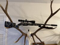 IMG_2561.jpeg