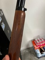 IMG_0474.jpeg