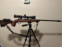 IMG_5314.jpeg