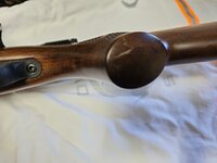 20250504_073817.jpg
