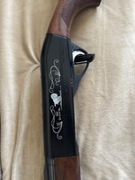 IMG_9946.jpeg