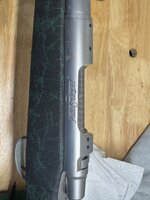 IMG_2382.jpeg