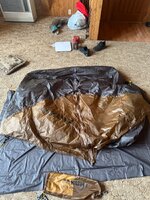 IMG_5556.jpeg