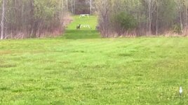 IMG_5439.jpeg