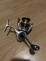 IMG_3972.jpeg
