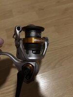 IMG_3973.jpeg
