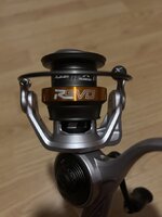 IMG_3974.jpeg