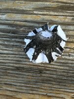 IMG_0102.jpeg