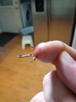 IMG_20250503_201614599.jpg