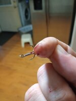 IMG_20250503_201618907.jpg