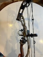 IMG_0180.jpeg
