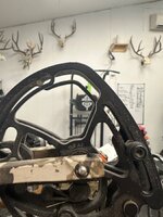 IMG_5503.jpeg