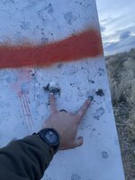 IMG_9346.jpeg