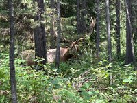 IMG_1362.jpeg
