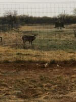 IMG_0712.jpeg