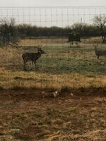 IMG_0713.jpeg