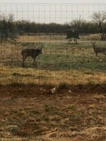 IMG_0714.jpeg